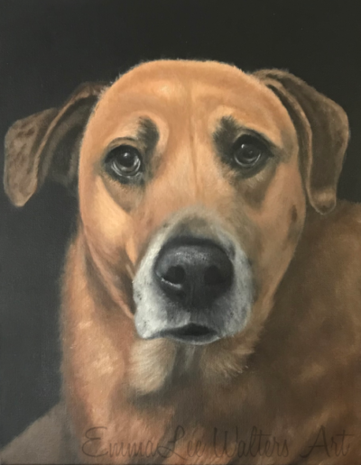 Oil painting, pet portrait, loving eyes, dog painting