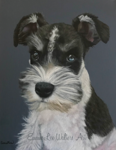 Schnauzer painting, schnauzer oil painting, pet portrait, dog painting, schnauzer art, EmmaLee Walters Art