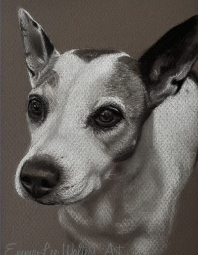 Staffordshire Terrier, EmmaLee Art, EmmaLee Walters, Pitbull drawing