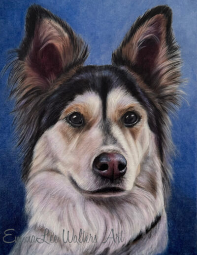 Sheepdog paintig, Shetland sheepdog painting, EmmaLee Art, EmmaLee Walters, Pet painting, dog oil painting, custom pet portrait, sheepdog oil paintng,