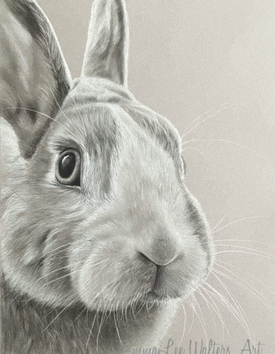 Rabbit Art, Bunny Art, EmmaLee Walters, EmmaLee Art, Rabbit Drawing,