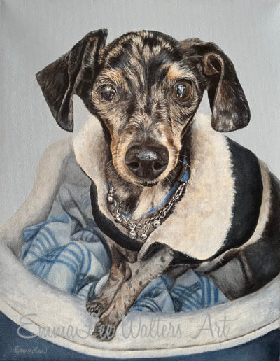 Dachshund, EmmaLee Art, EmmaLee Walters, Oil Painting, Pet portrait, Dachshund Painting