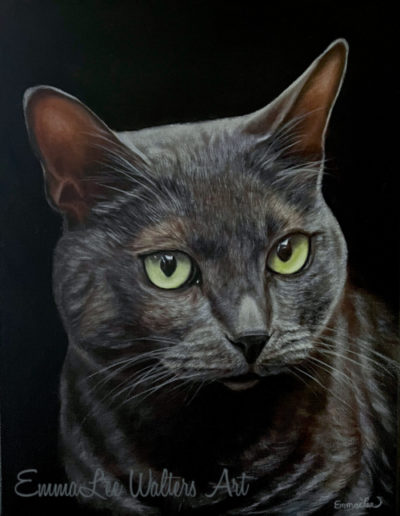 "Cat Painting" "Cat Oil Painting" EmmaLee Walters" EmmaLee Art" "Grey Cat" Grey Cat Painting" "Pet Portrait" "Custom Pet Portrait"