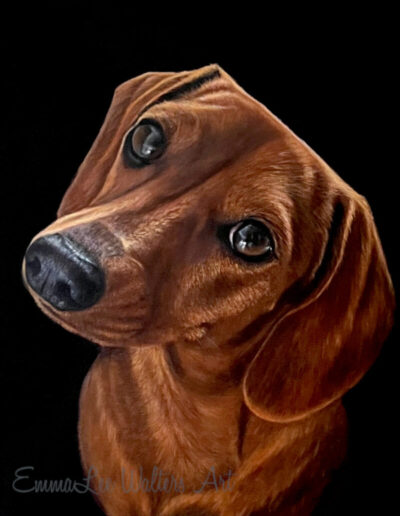 dachshund painting, dachshund art, realistic dog painting, emmalee art, emmalee walters, dog painting, dachshund oil painting, realistic dachshund art,