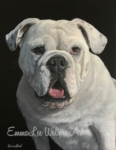 English Bulldog painting, Pet portrait, bulldog oil painting, bull dog art, english bulldog art, bulldog painting, EmmaLee Walters Art