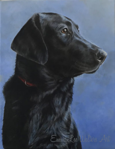 black lab painting, Labrador painting, pet portrait, oil painting, dog painting, Labrador art, EmmaLee Walters Art, EmmaLee Walters